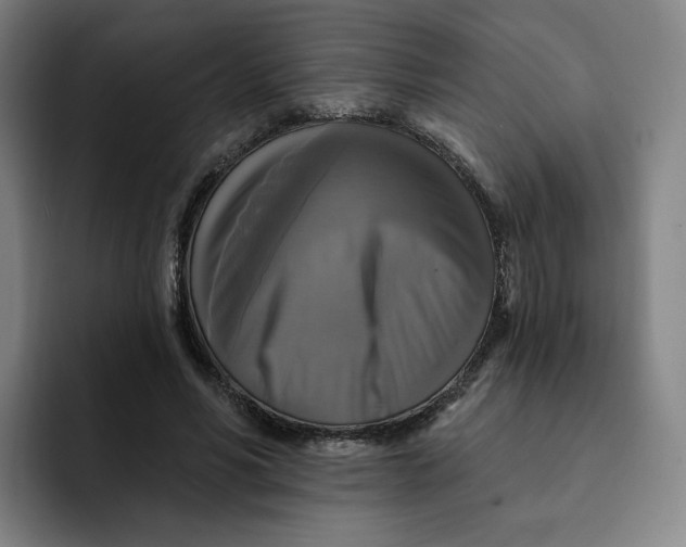 X0000091890590200709261641