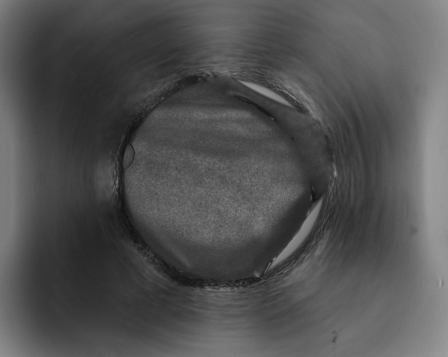 X0000091890593200709261641