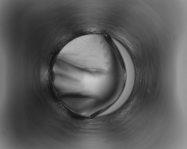 X0000091890597200709261641