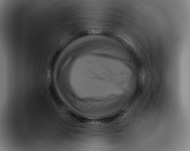 X0000091890598200709261641