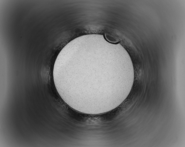 X0000091890599200709261641