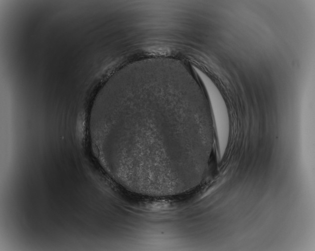 X0000091890600200709261641