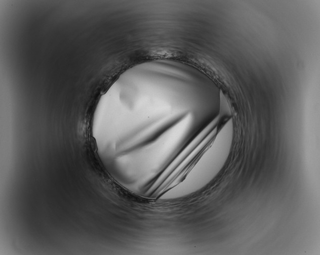 X0000091890601200709261641