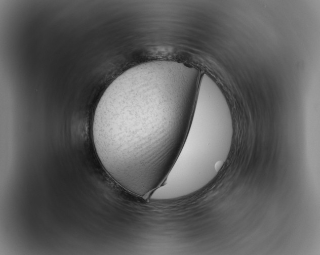 X0000091890602200709261641