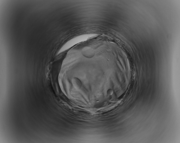 X0000091890604200709261641