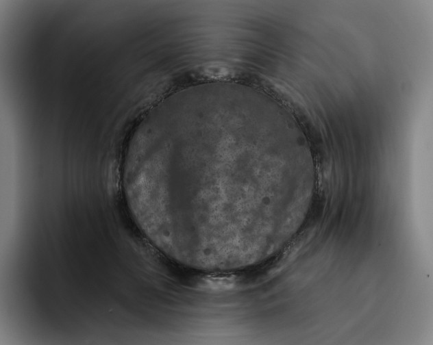 X0000091890606200709261641