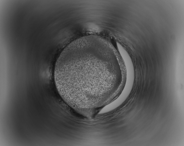 X0000091890608200709261641