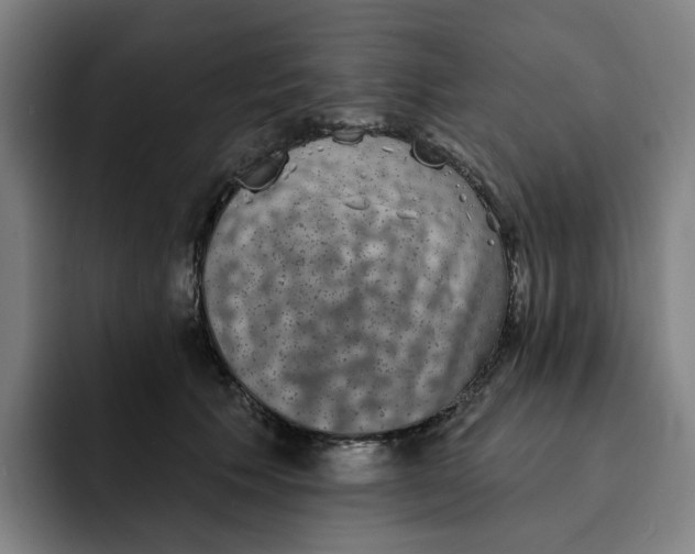 X0000091890609200709261641