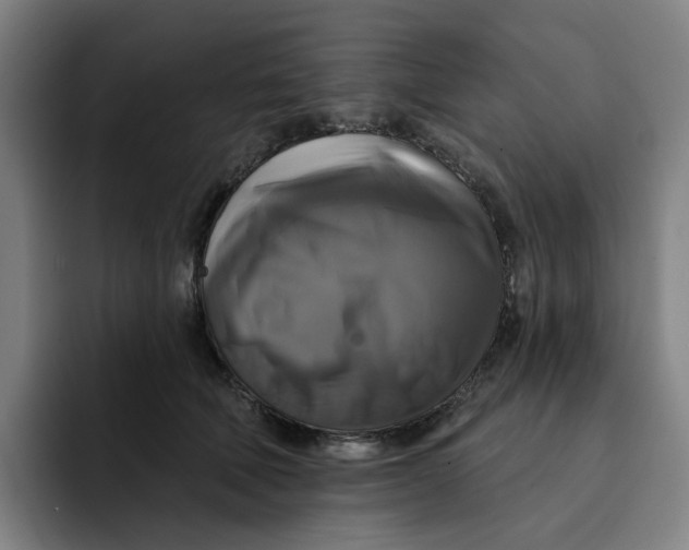 X0000091890610200709261641