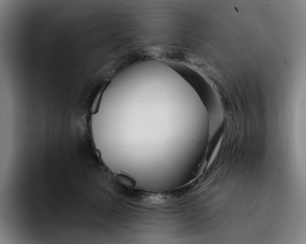 X0000091890611200709261641