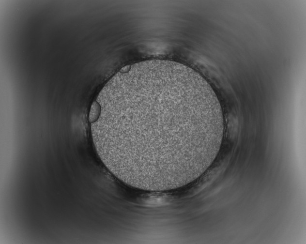 X0000091890612200709261641