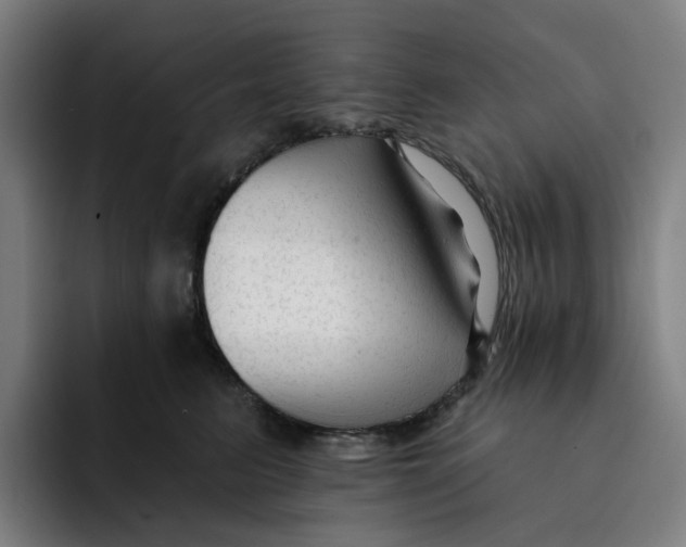 X0000091890615200709261641