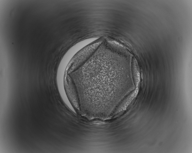 X0000091890617200709261641