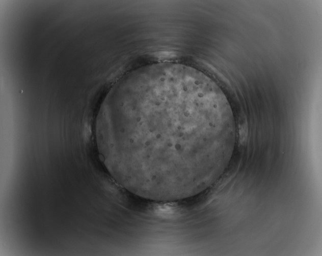 X0000091890618200709261641