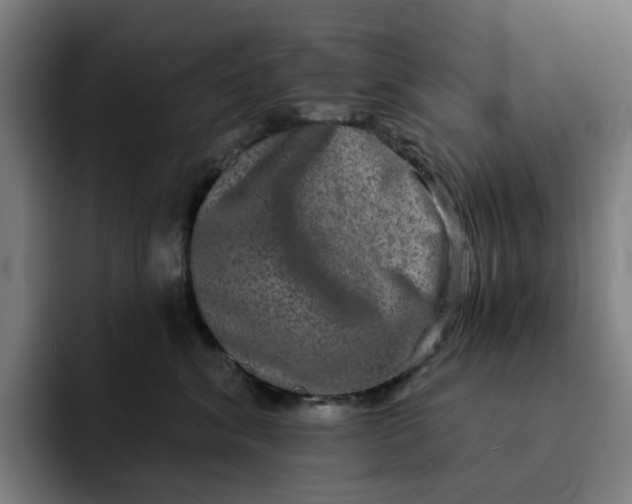 X0000091890620200709261640