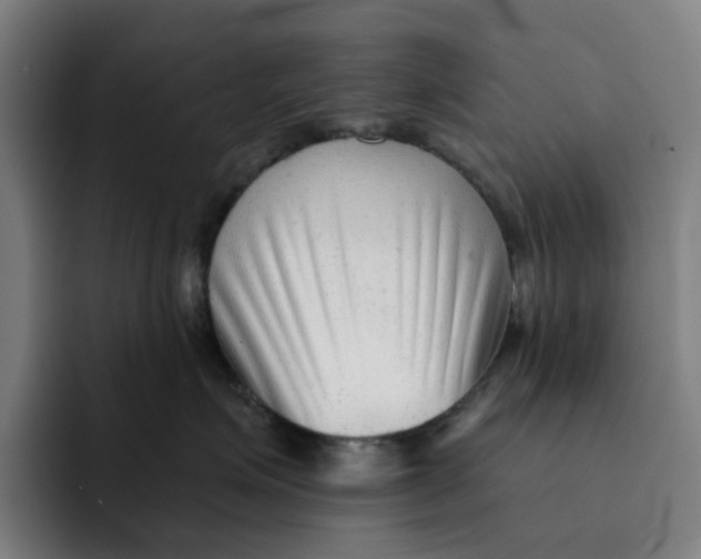 X0000091890623200709261640