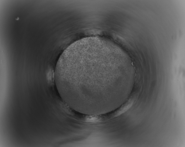 X0000091890624200709261640