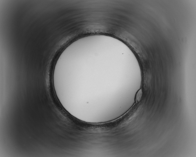 X0000091890629200709261640