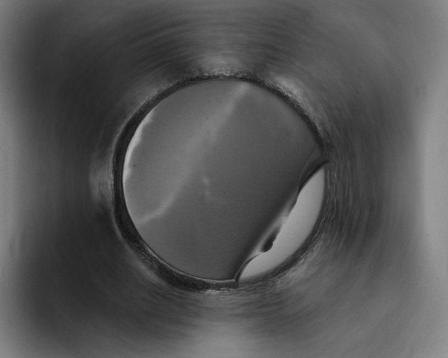 X0000091890630200709261640