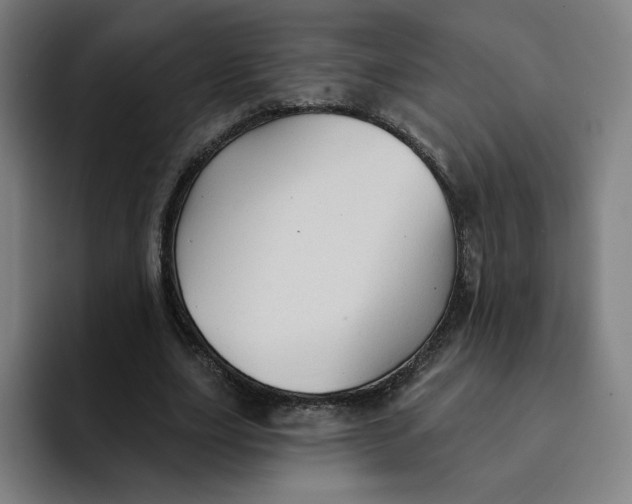 X0000091890631200709261640