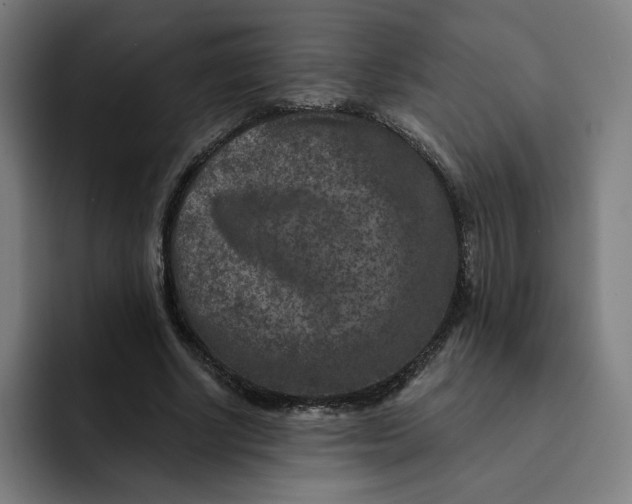 X0000091890634200709261640