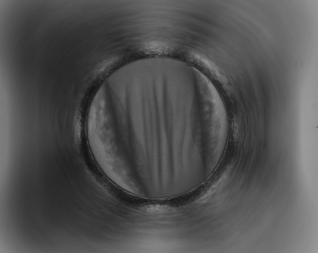 X0000091890637200709261640