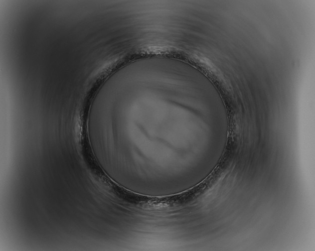 X0000091890640200709261640