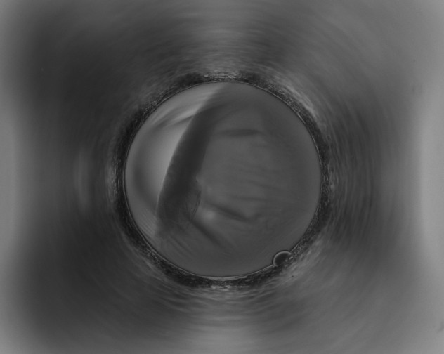 X0000091890641200709261640