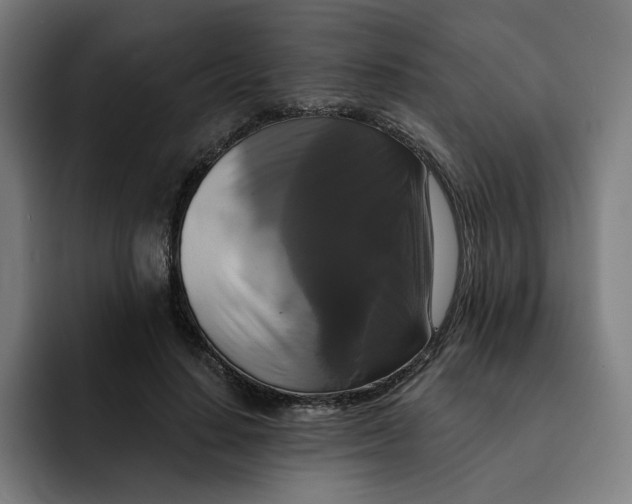 X0000091890644200709261640