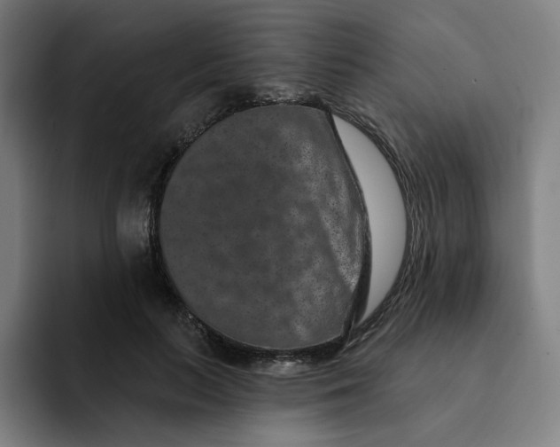 X0000091890647200709261640