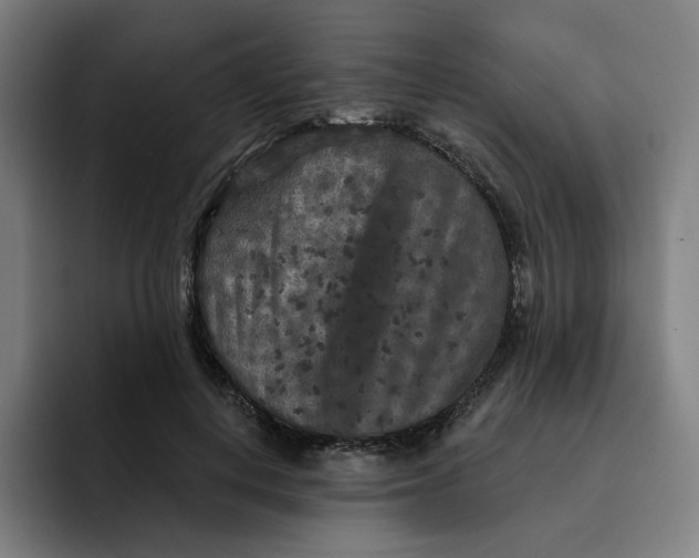 X0000091890648200709261640