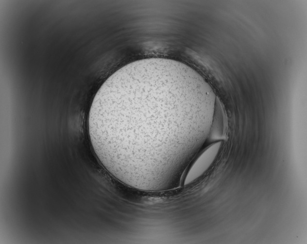 X0000091890649200709261640