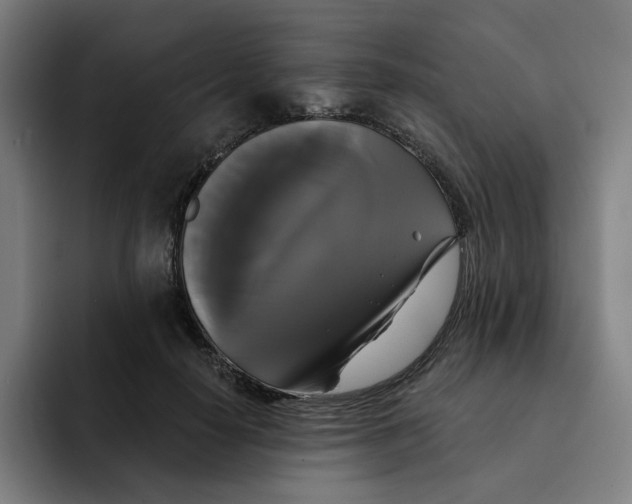 X0000091890650200709261640