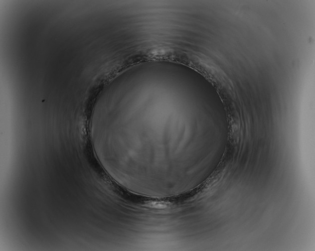 X0000091890654200709261640