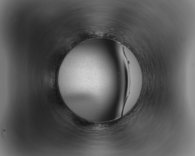 X0000091890656200709261640