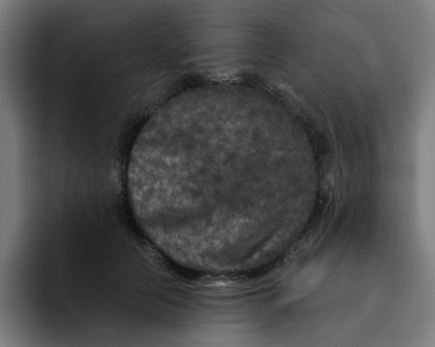 X0000091890658200709261640