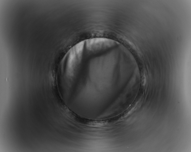 X0000091890661200709261640