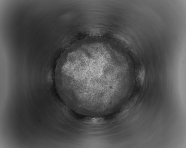 X0000091890663200709261640