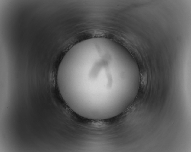 X0000091890666200709261640