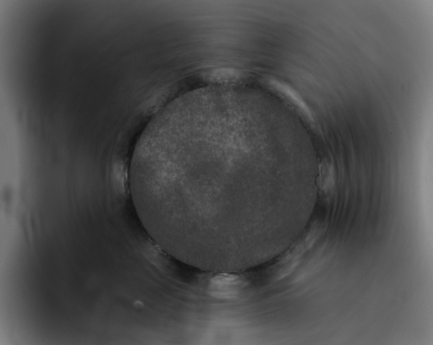 X0000091890669200709261640