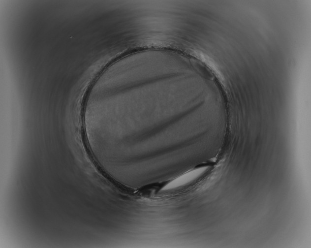 X0000091890673200709261640