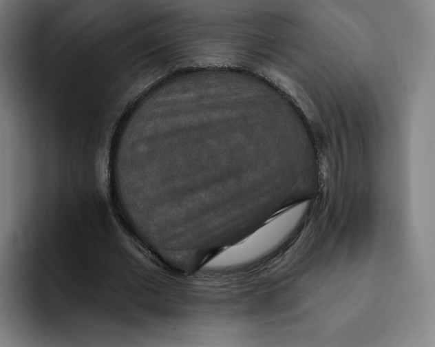 X0000091890677200709261640