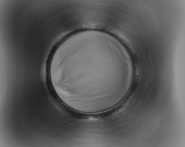 X0000091890678200709261640