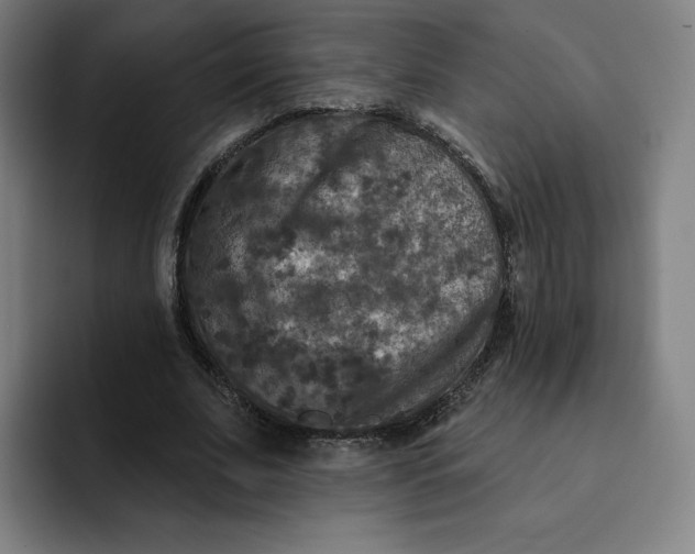 X0000091890679200709261640