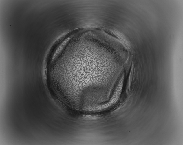 X0000091890680200709261640