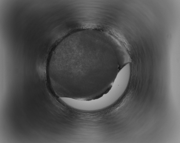 X0000091890681200709261640