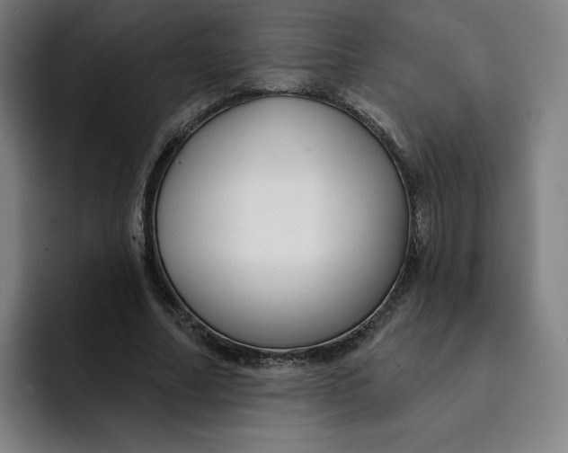 X0000091890682200709261640