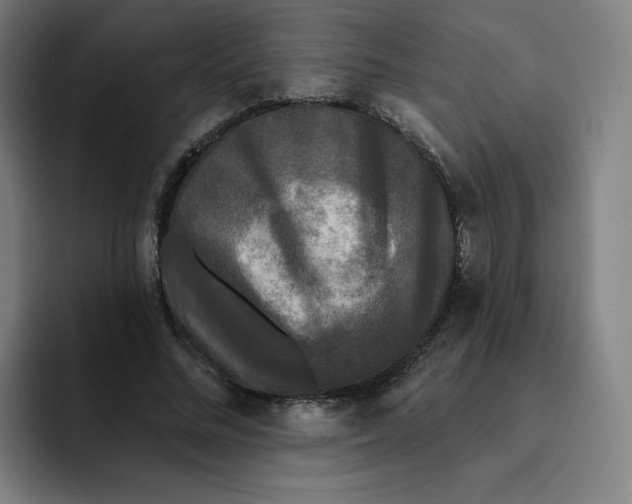 X0000091890684200709261640