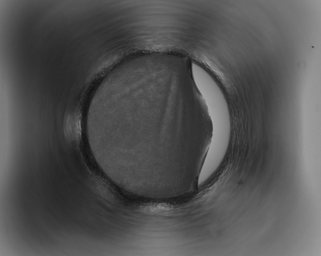 X0000091890685200709261640