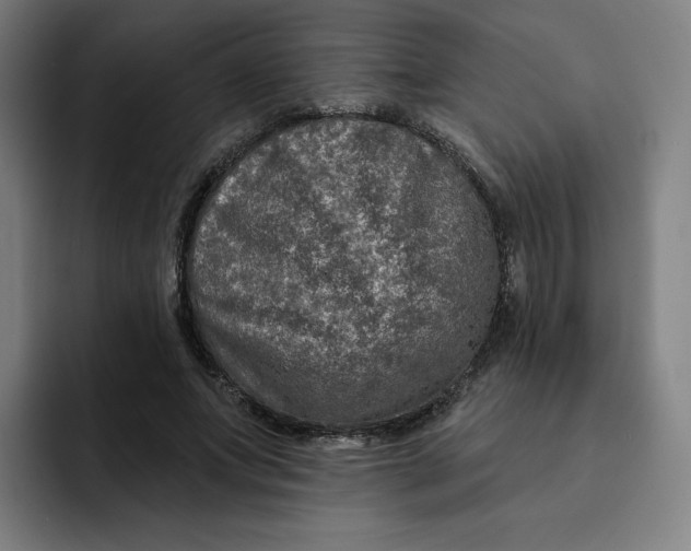 X0000091890687200709261640